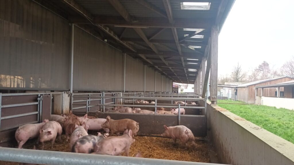 Élevage bio PORGANIC à Rouillé (86) - INRAe